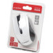 Мышь Gembird MUS-101-W White USB