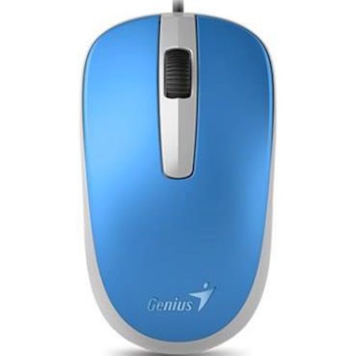 Миша Genius DX - 120 Blue USB (31010105103)