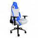 Кресло для геймеров 1stPlayer DK2 Blue-White