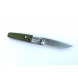 Нож складний Ganzo G7211-GR green