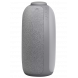 JBL Horizon 2 Gray (JBLHORIZON2GRYEU)
