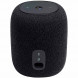 Портативная голосовая акустика JBL Link Music Black (JBLLINKMUSICBLKEU)