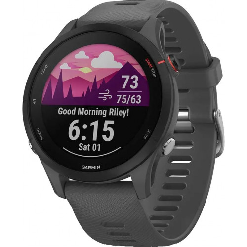 Смарт-часы Garmin Forerunner 255 Slate Gray (010-02641-00/10)