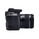 Зеркальный фотоаппарат Canon EOS 250D kit (18-55mm) EF-S IS STM (3454C007)