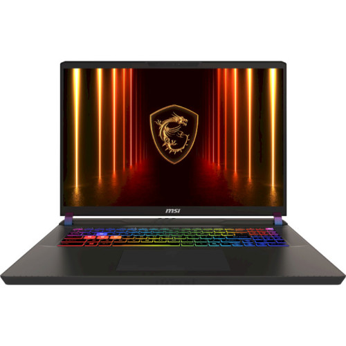 Ноутбук MSI Vector 17 HX AI A2XWIG-043UA Cosmos Gray (9S7-17S372-043)