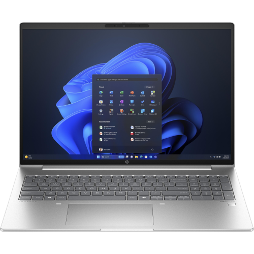 Ноутбук HP ProBook 460 G11 Pike Silver (AD0V8ET)