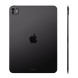 Apple iPad Pro 11 M4 2024 Wi-Fi + Cellular 256GB with Standard glass Space Black (MVW13)