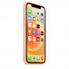 Чехол Apple iPhone 12/12 Pro Silicone Case MagSafe - Pistachio (MK003)