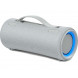 Портативная колонка Sony SRS-XG300 Grey (SRSXG300H.RU4)