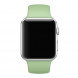 Ремешок Apple Watch 42/44mm Sport Band (S/M & M/L) Mint