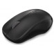 Мышь RAPOO Wireless Optical Mouse black (1620)