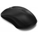 Мышь RAPOO Wireless Optical Mouse black (1620)